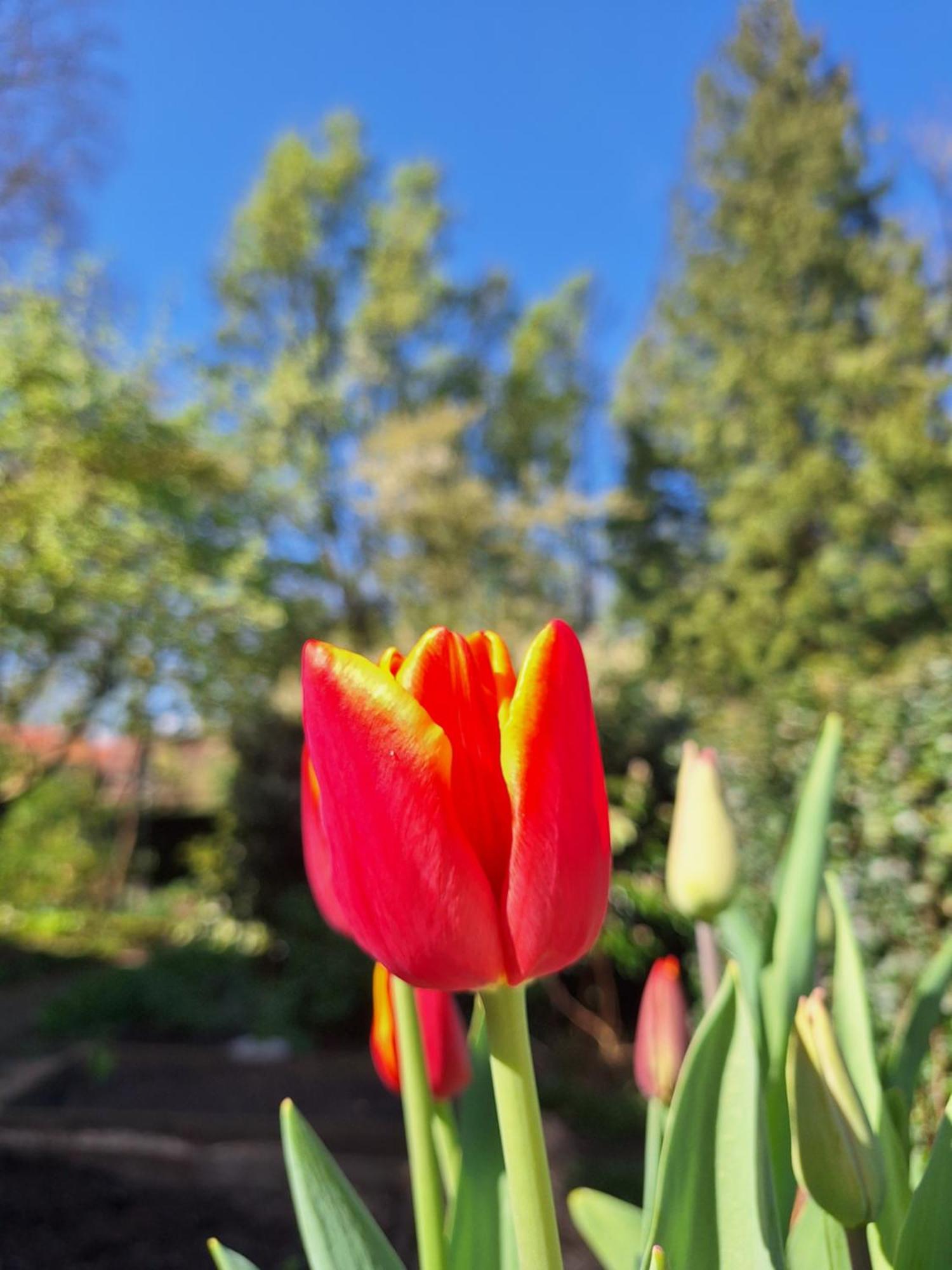 De Consistorie Villa Giethoorn Dış mekan fotoğraf
